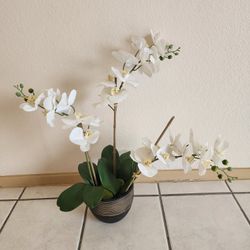 $5. Artificial Orchid. Please, READ DESCRIPTION. Hablo español.