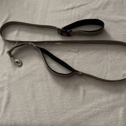 Dog Leash