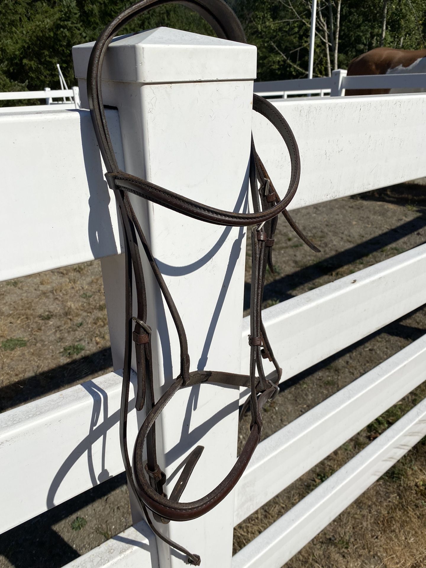 Stubben English Headstall