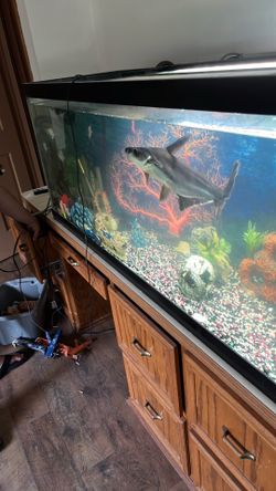210 gallon fish tank everything included
