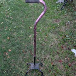 Cane For Sale !