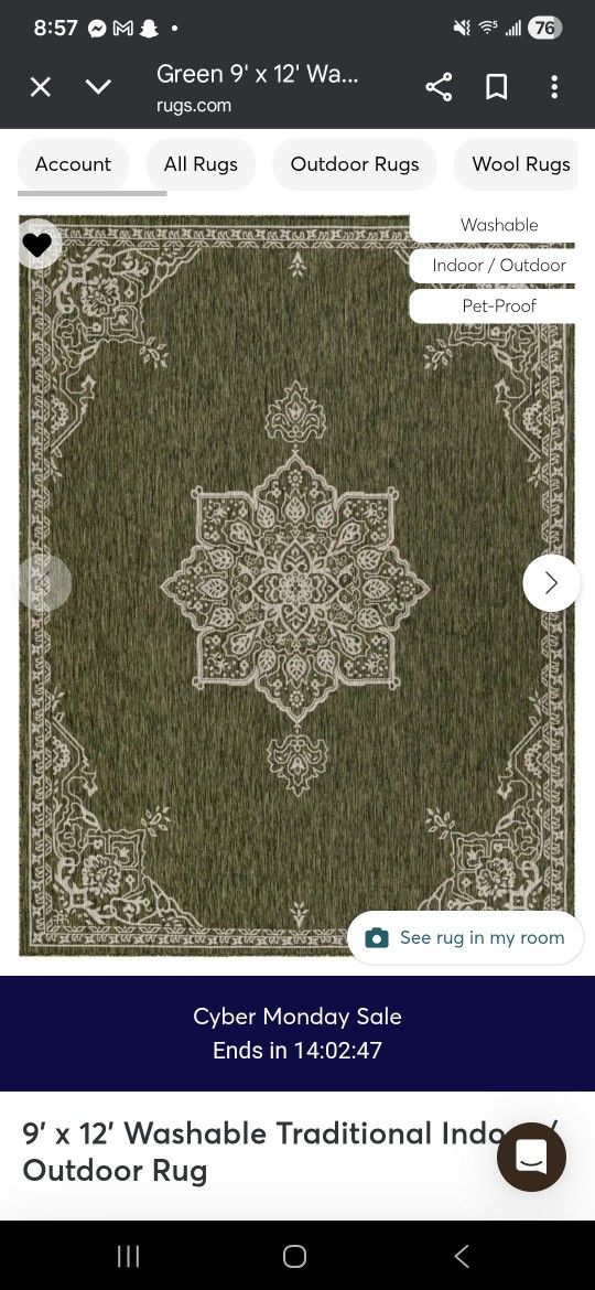 9×12 indoor/outdoor rug
