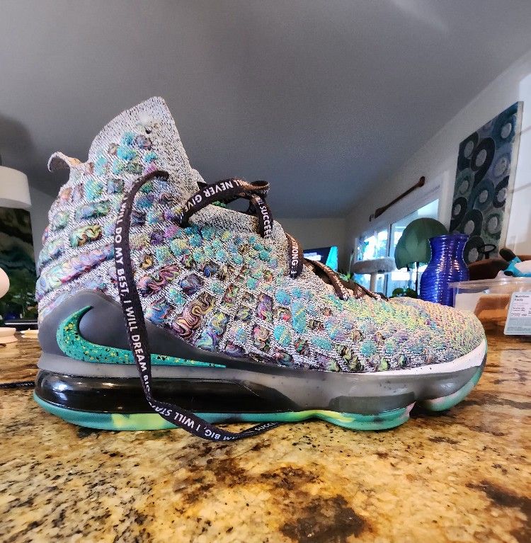 Nike Lebron XVII Size 8