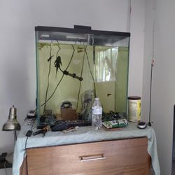 2 Fish Tanks And Equipment