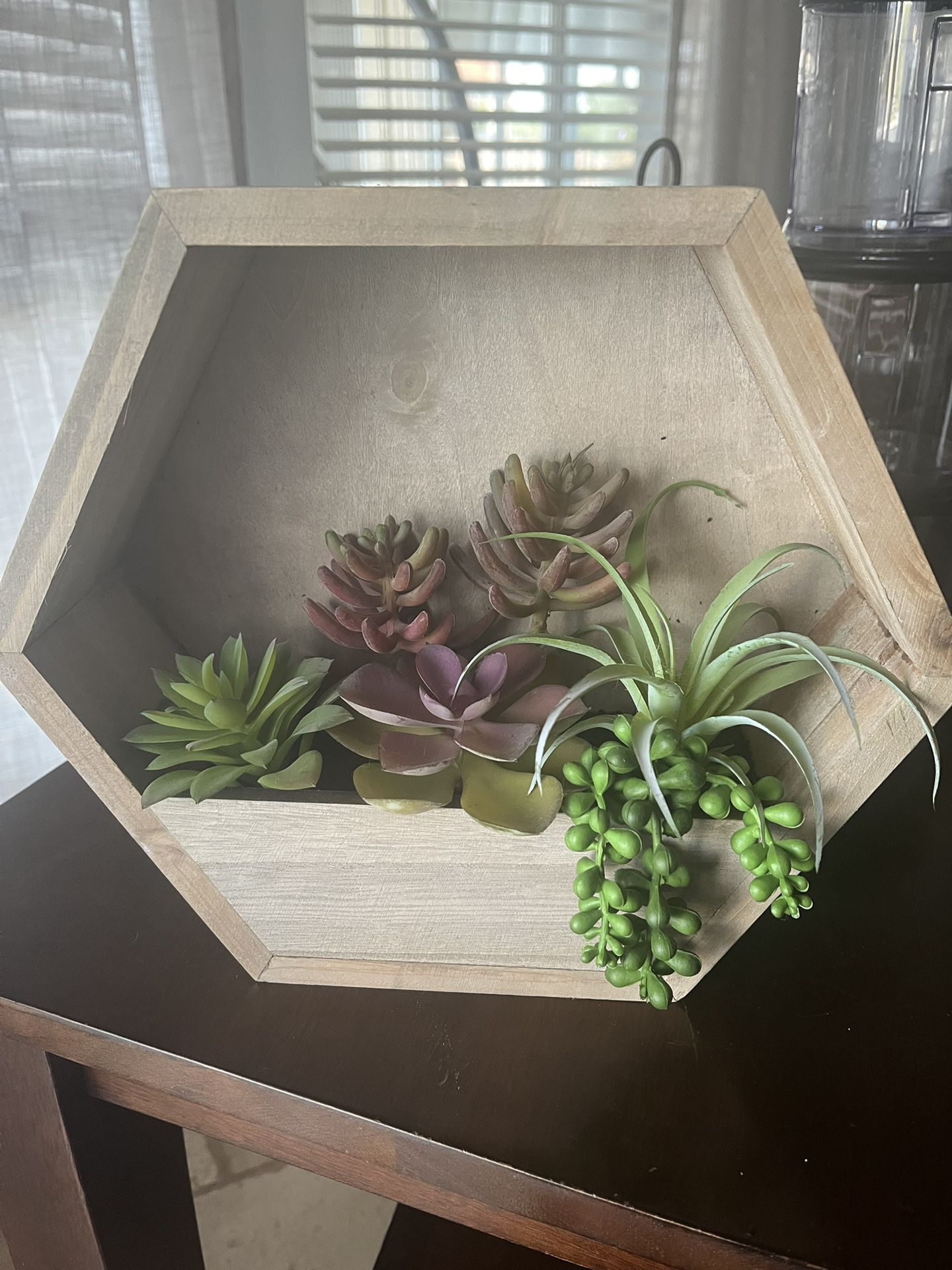 Succulent Wall Decor - Kirkland's