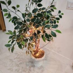 Artificial Plant About 4 Ft