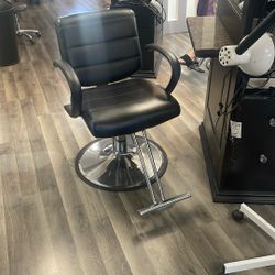 Salon Chair