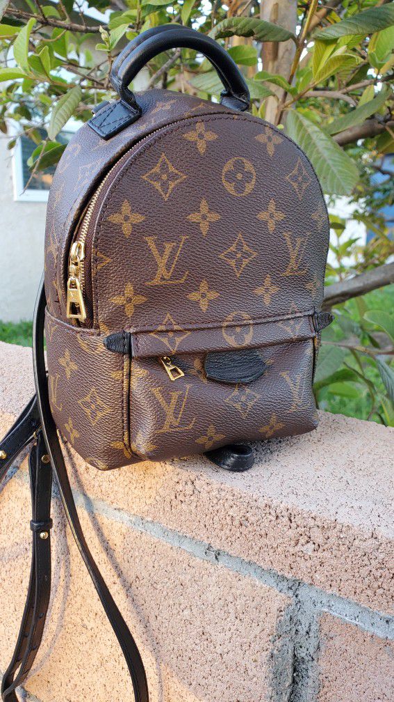 LV Palms Springs Mini Backpack for Sale in Honolulu, HI - OfferUp