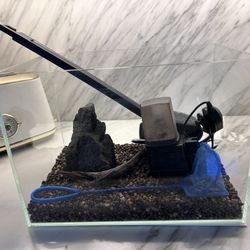 Fish Tank For Small Fish