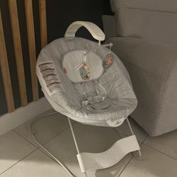 Baby Bouncer
