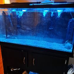 75 Gallon w/stand! 