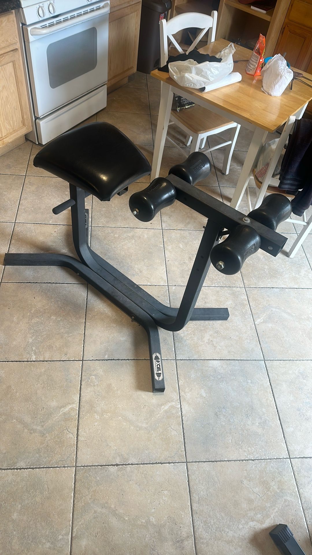 Roman Chair - Back Extension Machine