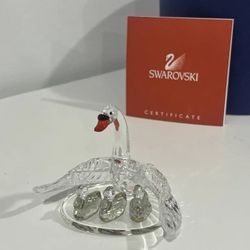 Swarovski Swan Family