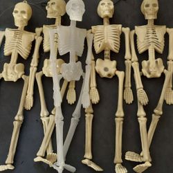 Plastic Skeletons