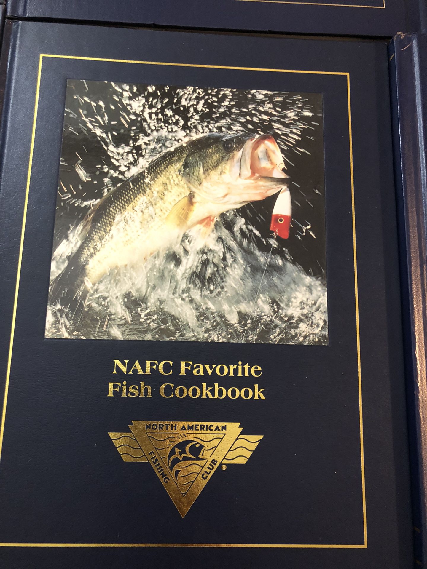 NORTHWEST FISHING CLUB BOOKS (16 books+6 Audio +2 VHS) for Sale in