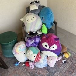 Squishmallows 
