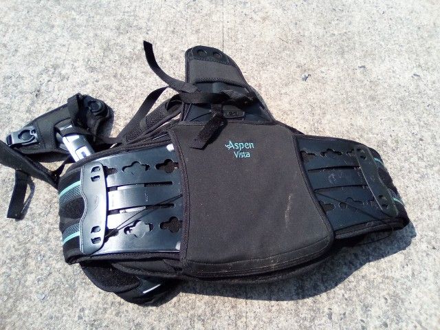 Aspen Vista Back Brace 11.00