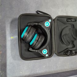 Headphones In Case