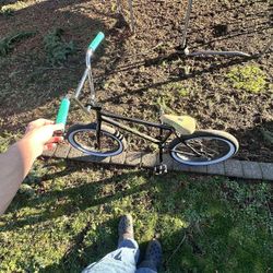 BMX bike fit Bike Co.