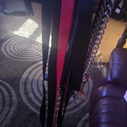 9 Dog Leashes, One 6ft Tie Out ,One Small Vest