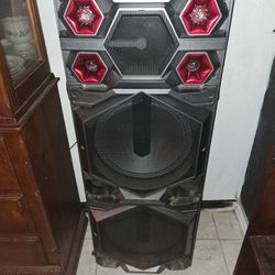 Edison Professional Party System speaker,  DRUM XL model. 