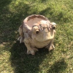 Special New Flower Pots Made Out Resin Perfect Gift For Any Occasion