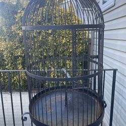 Bird Cage With Stand 