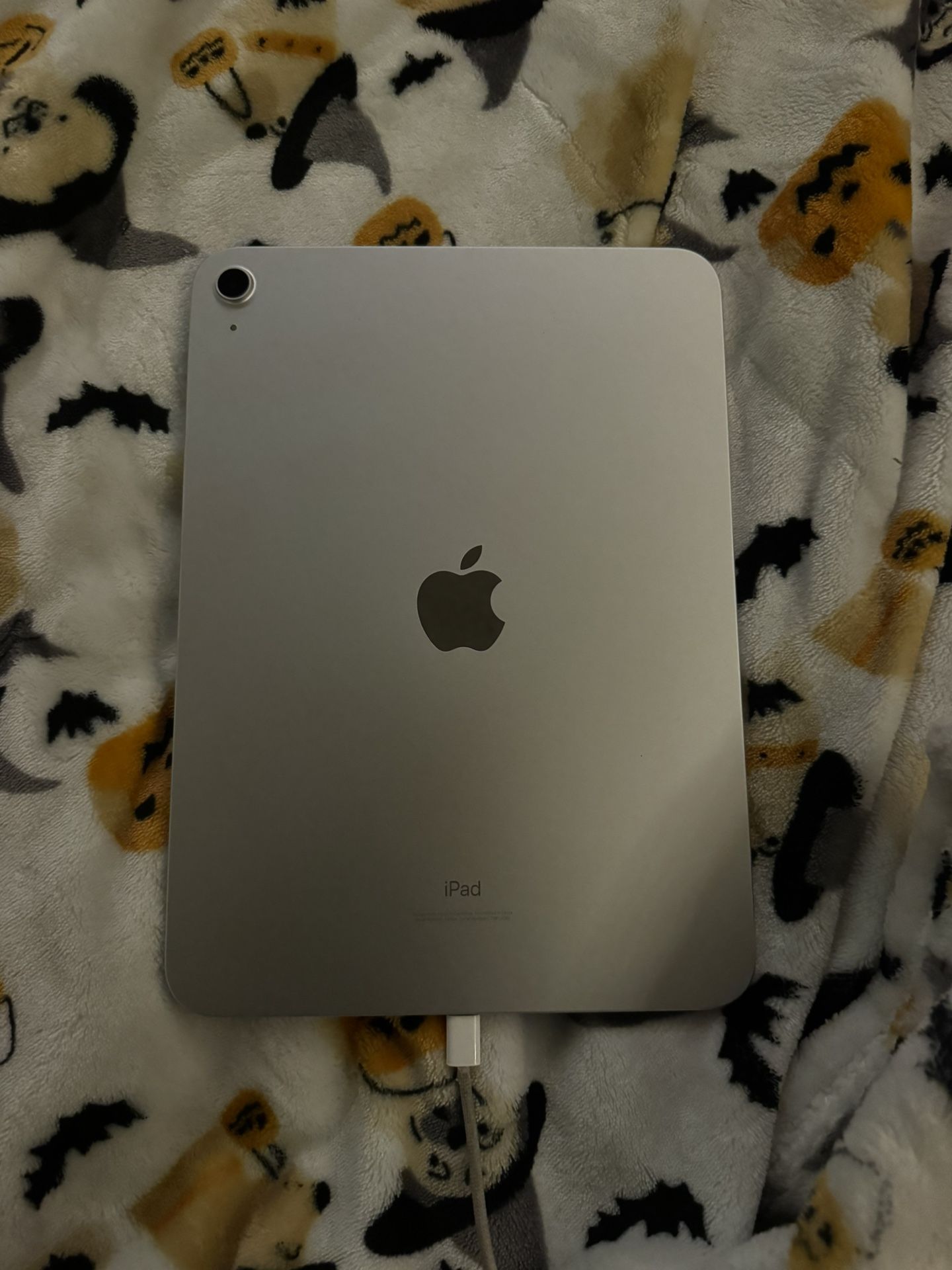 iPad 10th Gen