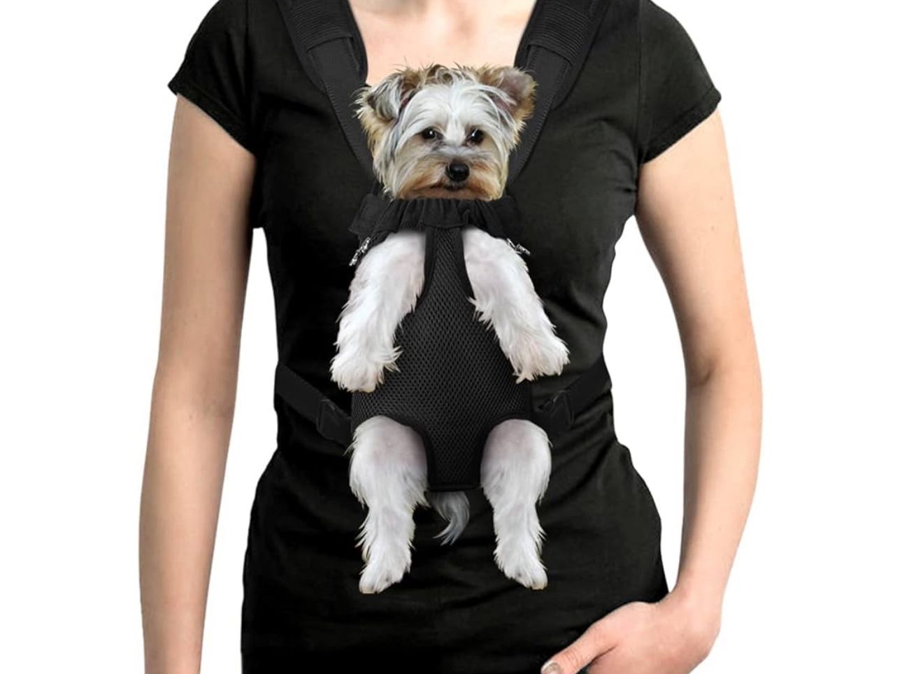 Dog Pet Carrier Size XS just $5 xox