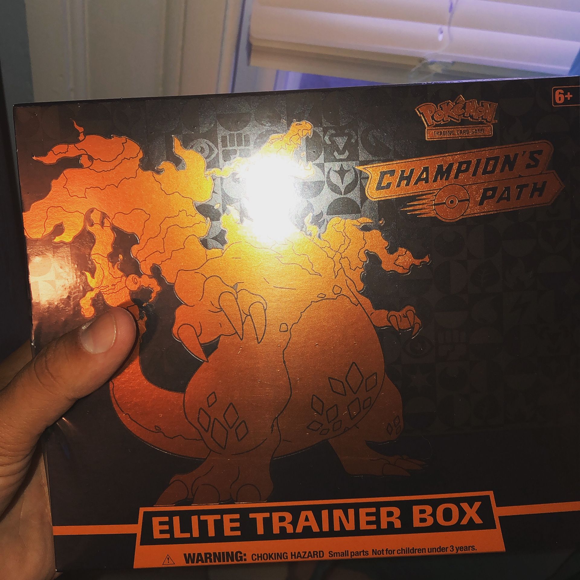 Pokémon champions path elite trainer box