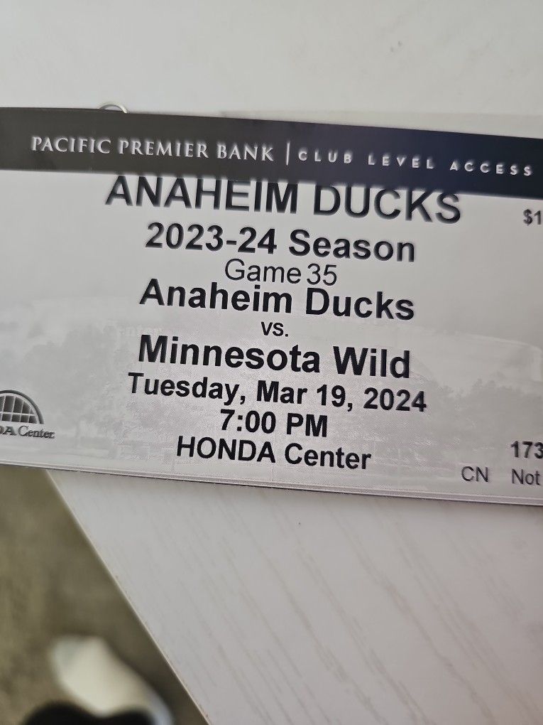 Anahiem Ducks Vs Minnesota Wild Club Seat