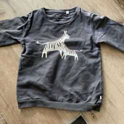 Zebra Sweatshirt Pants Set 3-4T