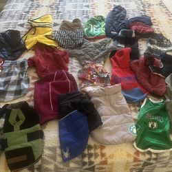 Little Chihuahua Clothes