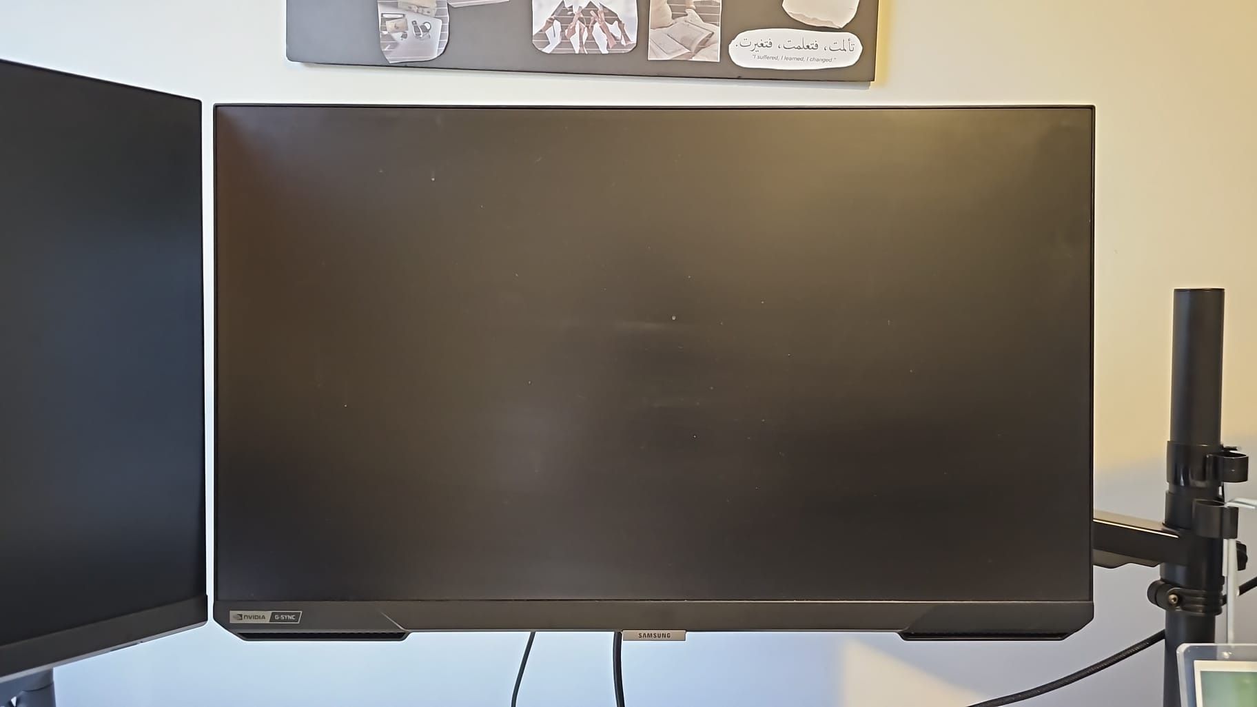 2 Gaming Monitors