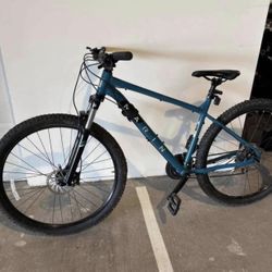 Mountain Bike Large