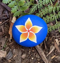 Beautiful Hawaiian Plumeria Rock