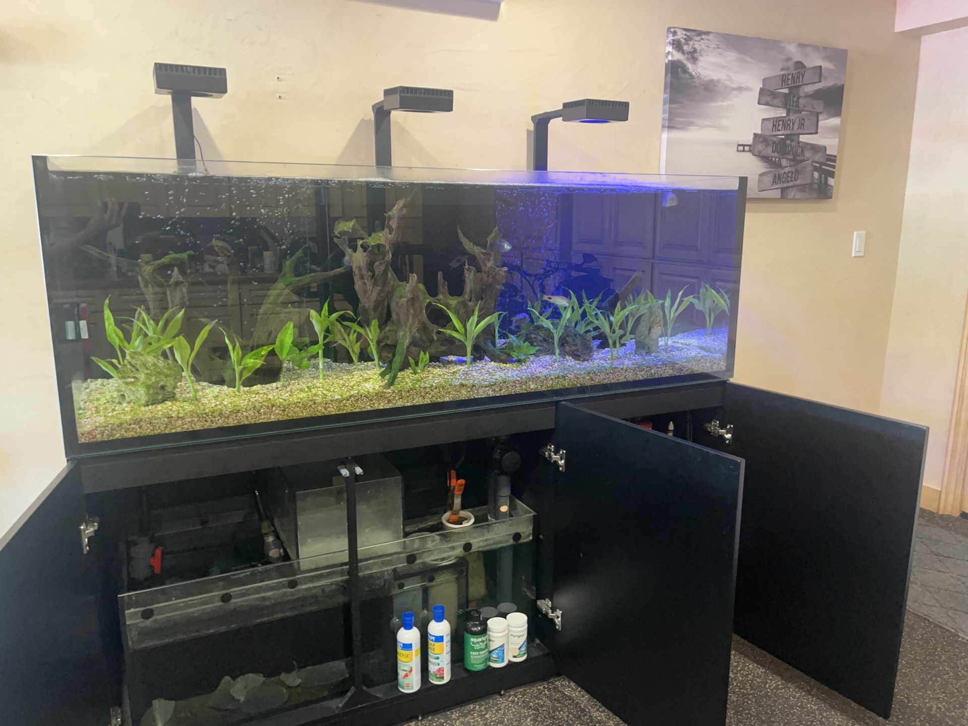Fish Tank