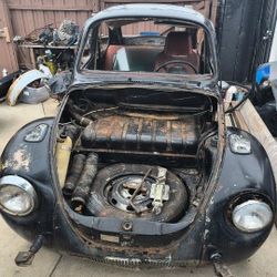  Super Beetle 