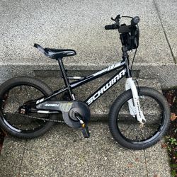 Schwinn Kids Bike