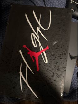 Jordan 4s