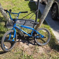 GT Bank 50th Anniversary Bmx