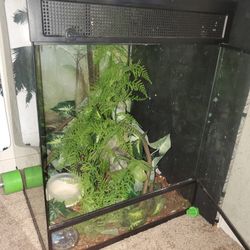Reptile Terrarium 