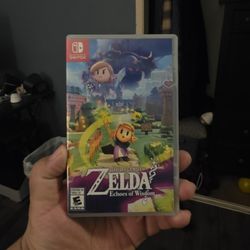 Zelda Echoes Of Wisdom