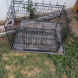 Old Dog Cage 