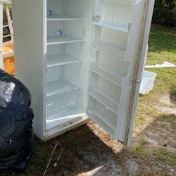 Standing Up Deep Freezer 