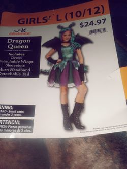 Dragon Queen Costume