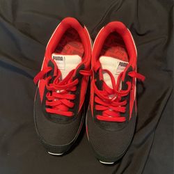 pumas