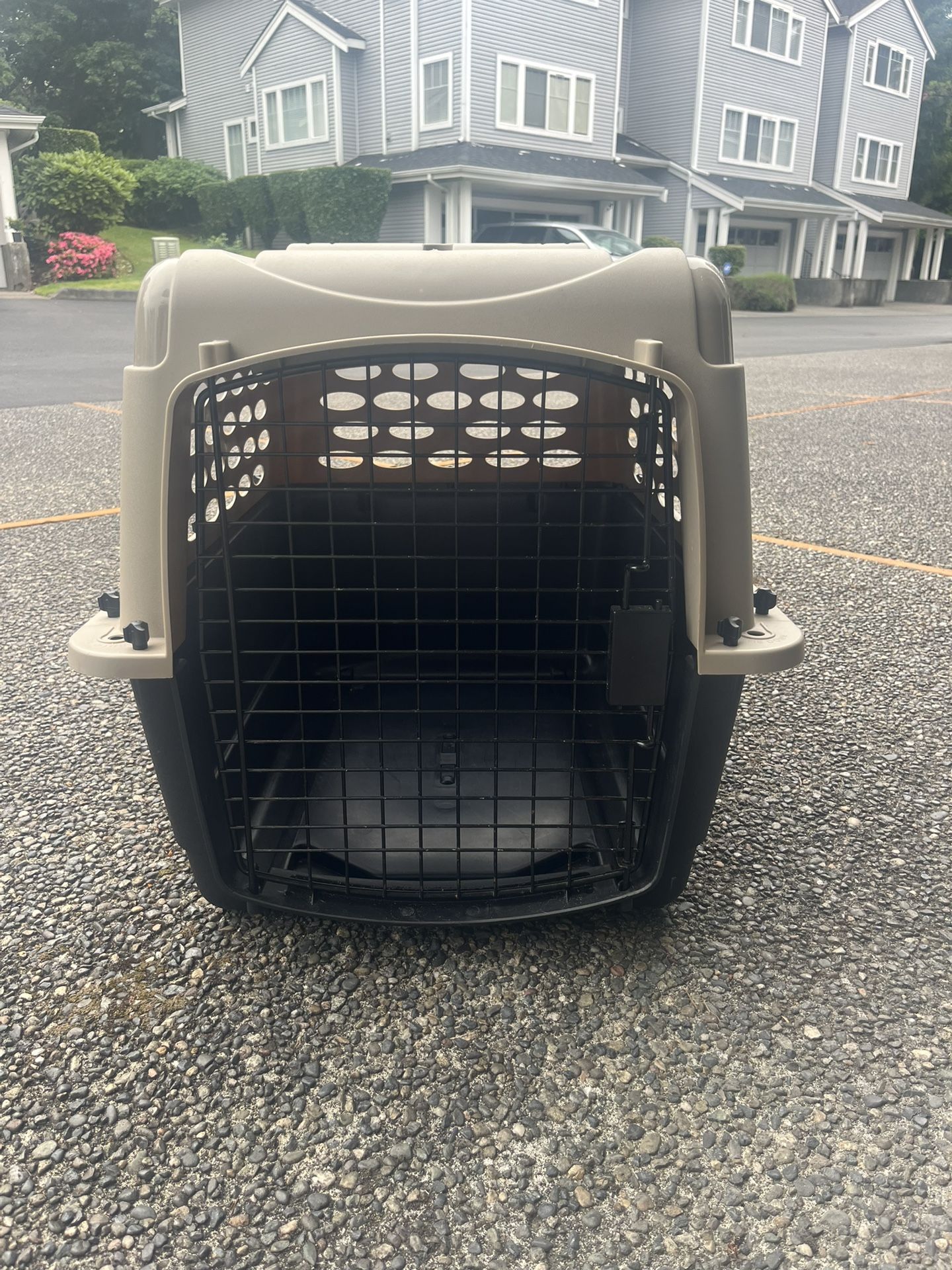 Kennel