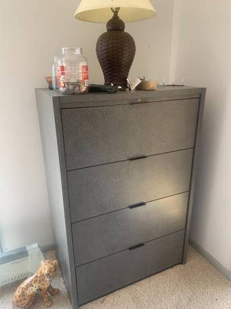 Filing Cabinet/ book Shelf -$150 Obo-Free Delivery 