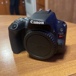 Canon SL2 (no lens)